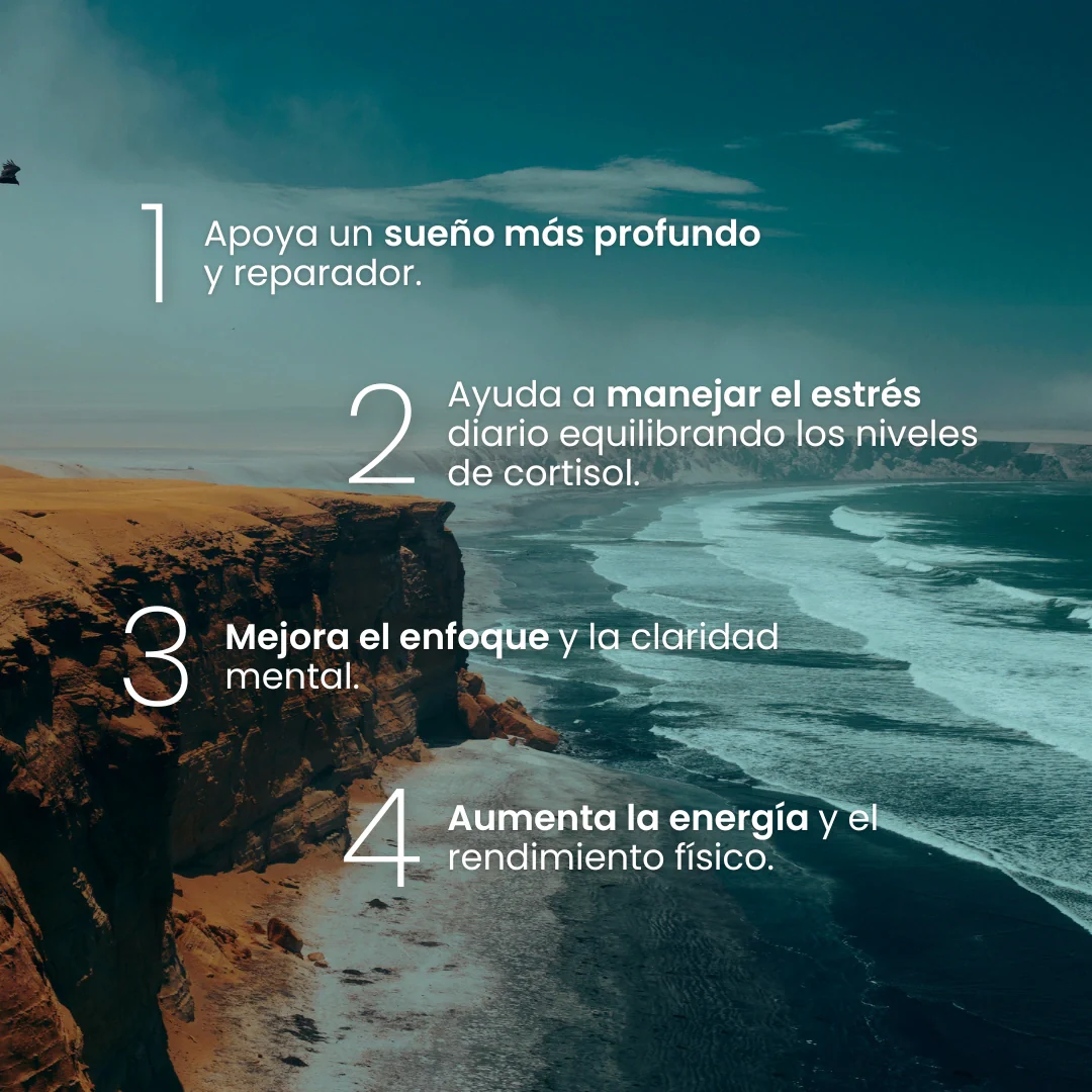 ASHWAGANDHA - 60 CAPS