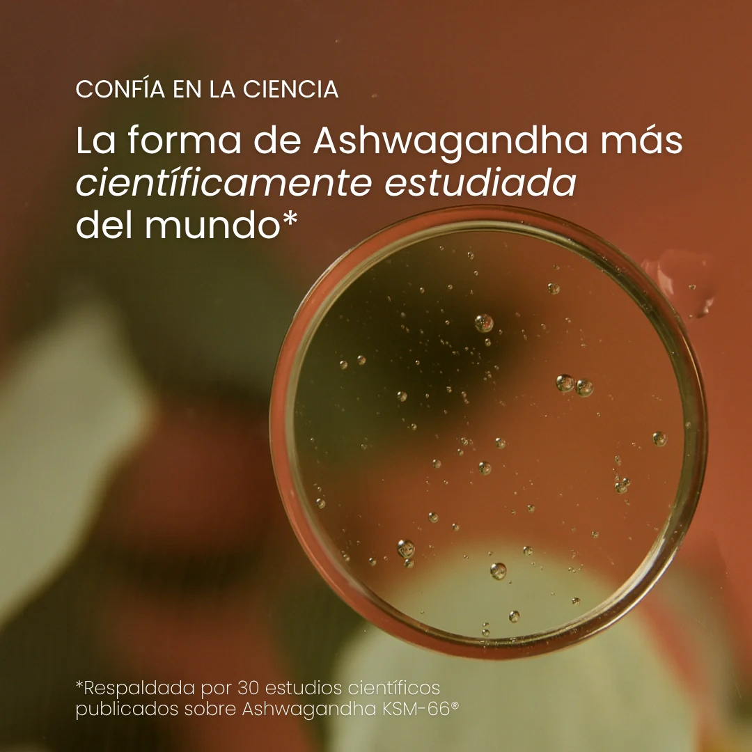 ASHWAGANDHA - 60 CAPS