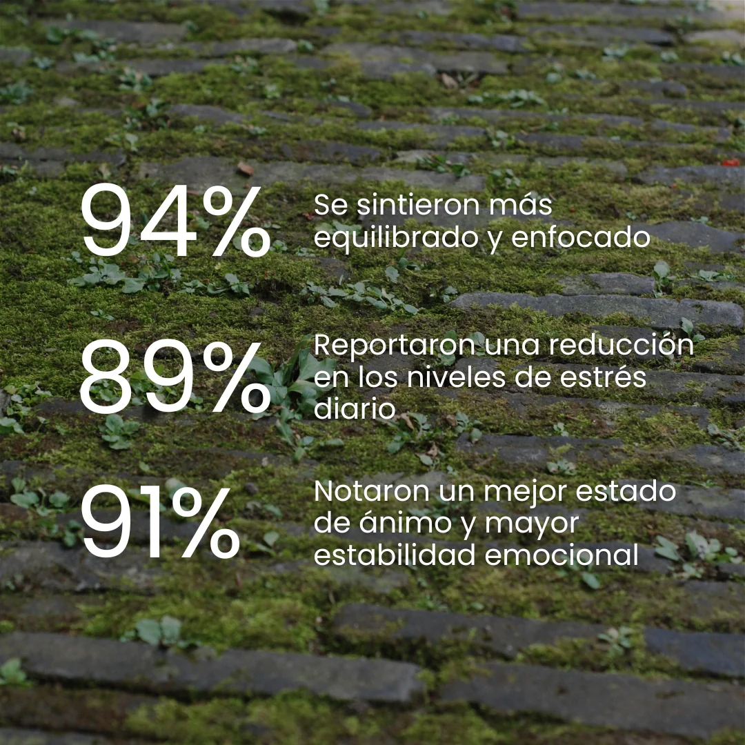 ASHWAGANDHA - 60 CAPS