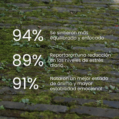 ASHWAGANDHA - 60 CAPS